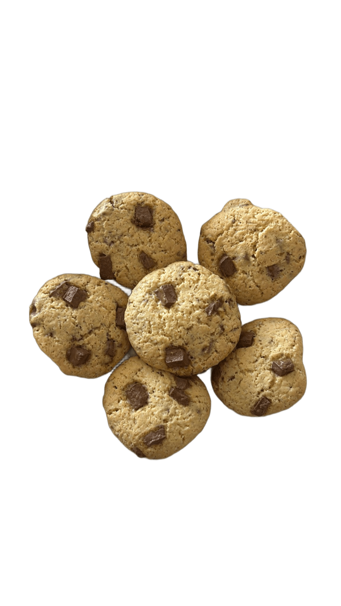 CLASSIC CHOCOLATE CHIP CROKA